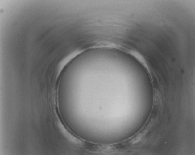 X0000062931003200601202022