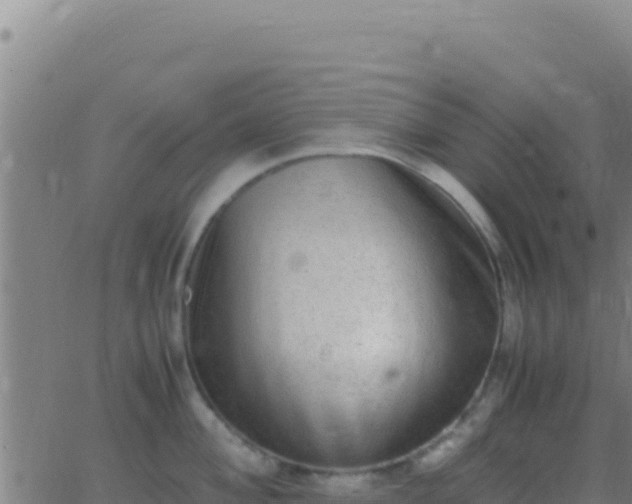 X0000062931004200601202022