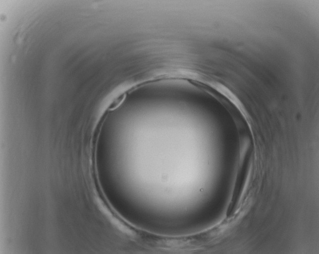 X0000062931005200601202022