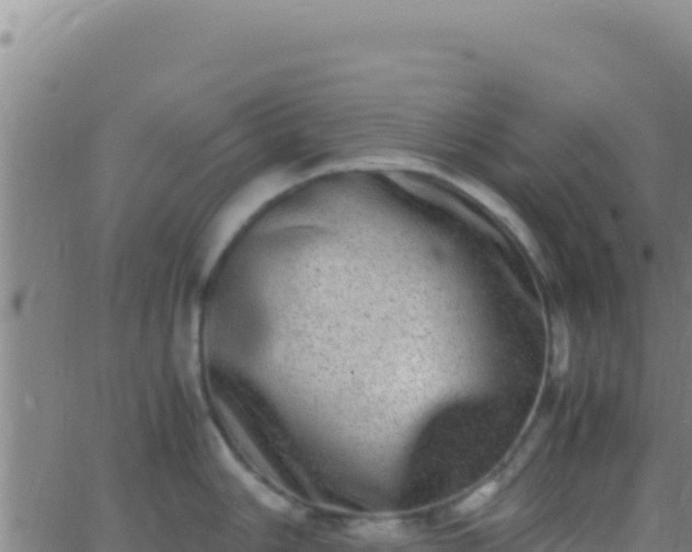 X0000062931006200601202022