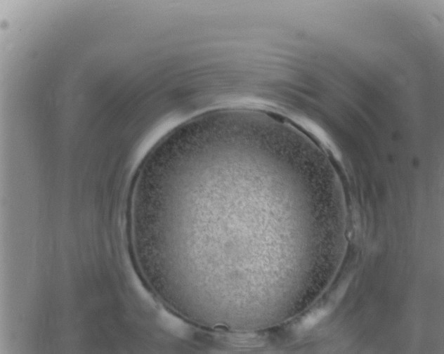 X0000062931007200601202022