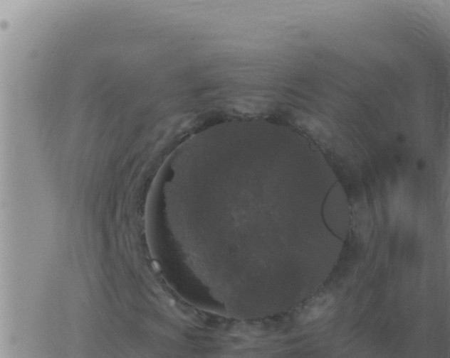 X0000062931009200601202021