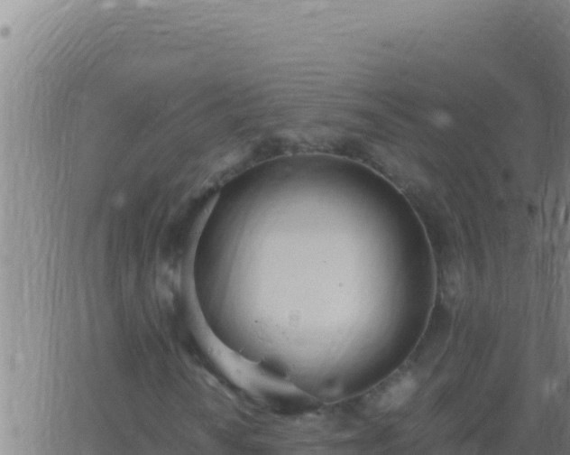 X0000062931010200601202021