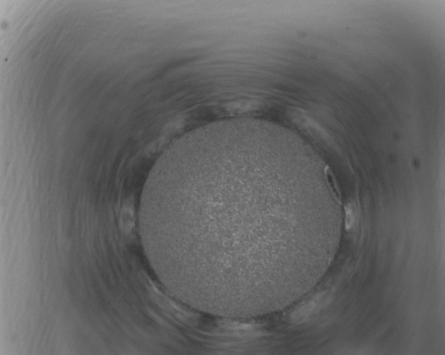 X0000062931011200601202021