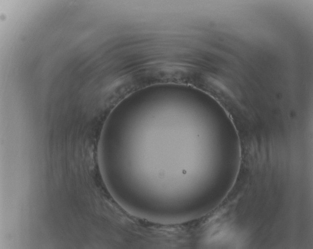 X0000062931013200601202021