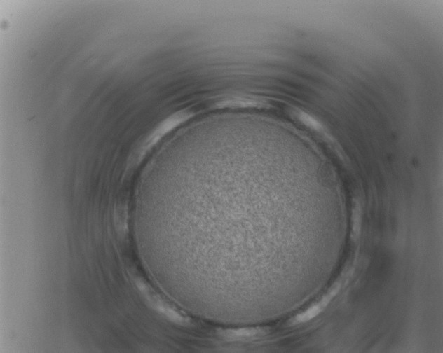 X0000062931017200601202021