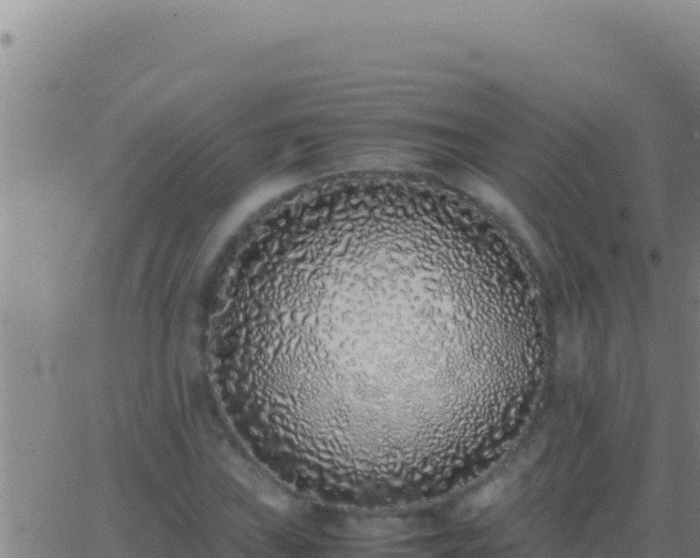 X0000062931019200601202021