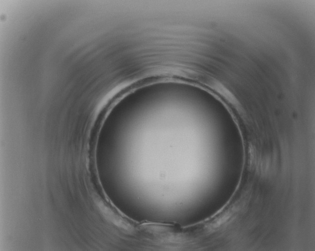 X0000062931020200601202021