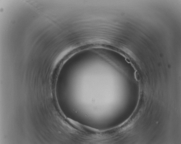 X0000062931022200601202021