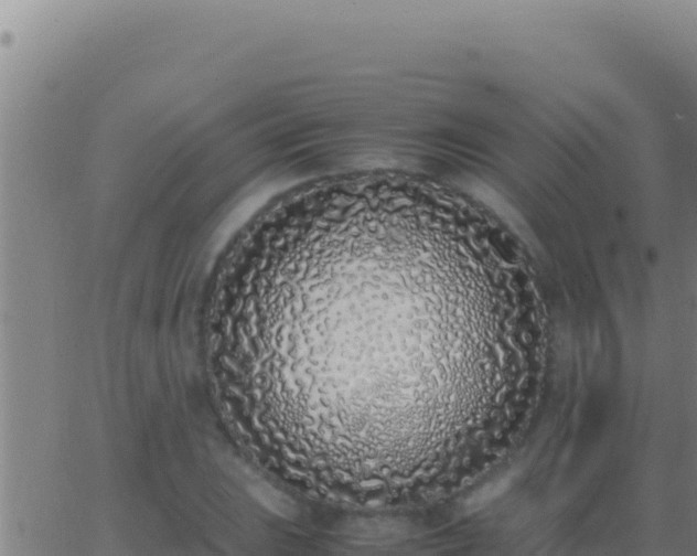 X0000062931023200601202021