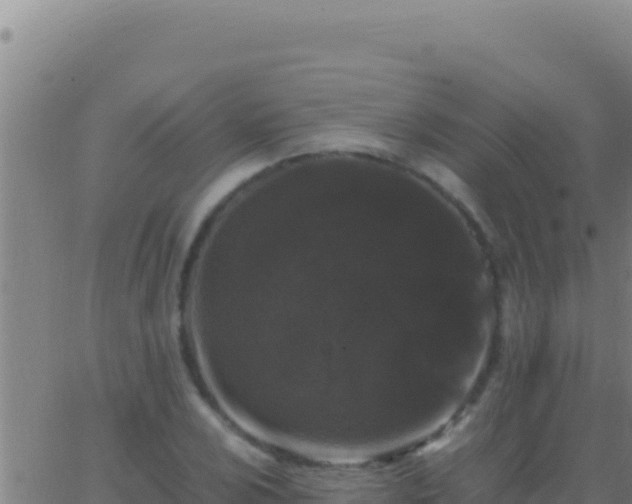 X0000062931024200601202021