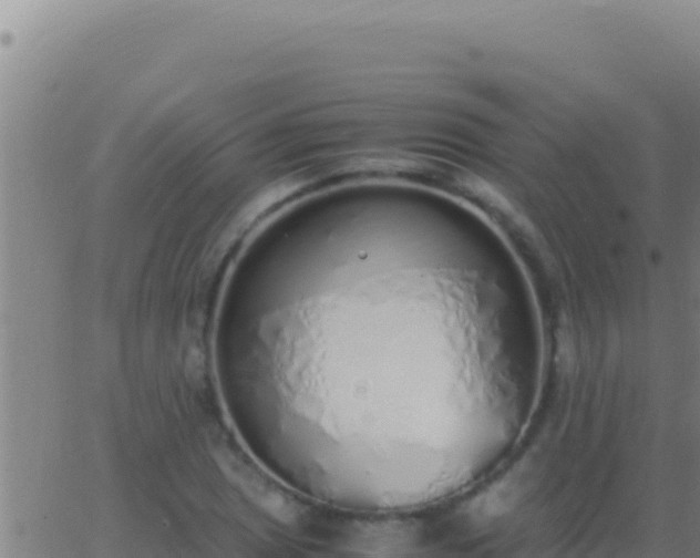 X0000062931025200601202021