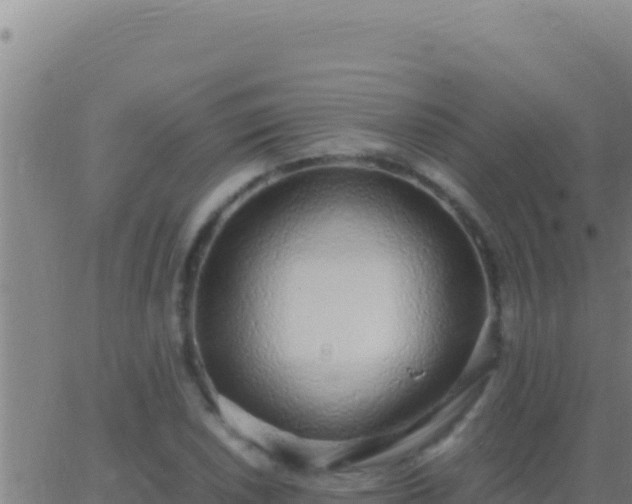 X0000062931026200601202021