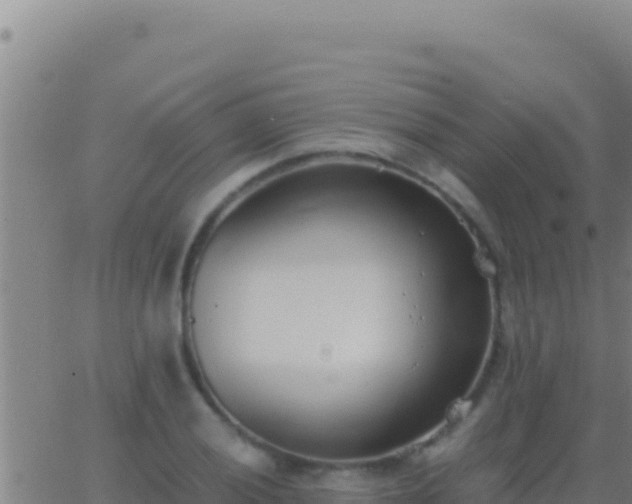 X0000062931028200601202021