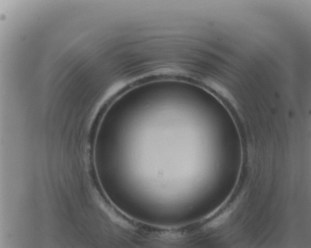 X0000062931029200601202021