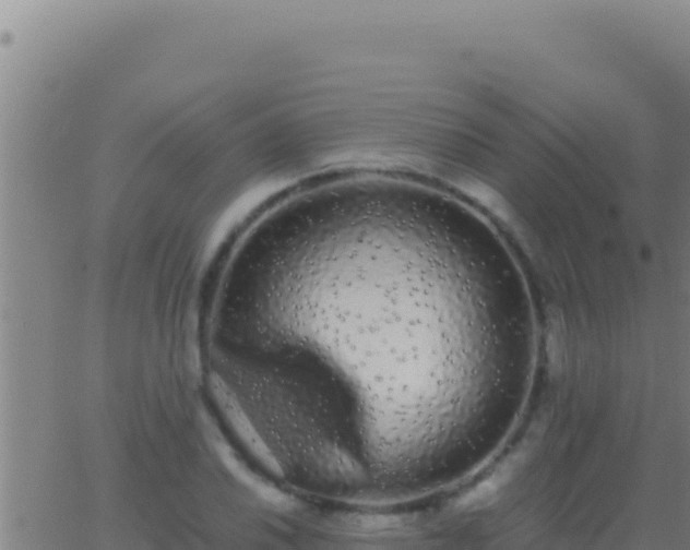 X0000062931030200601202021