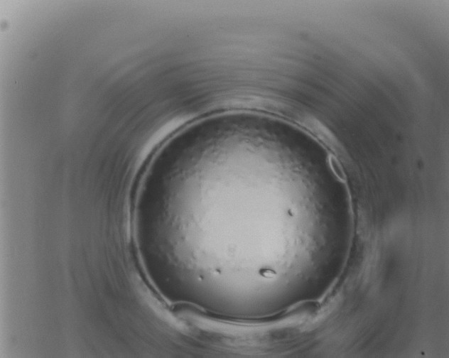 X0000062931036200601202021