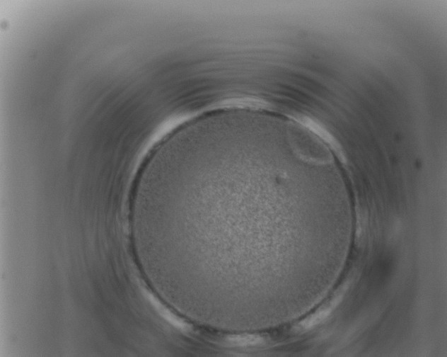 X0000062931037200601202022