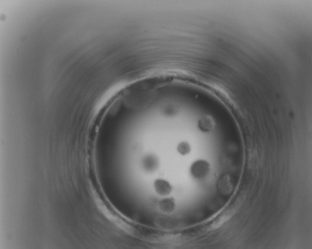 X0000062931038200601202022