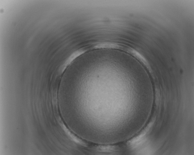 X0000062931041200601202022