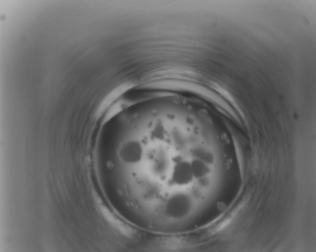 X0000062931042200601202022