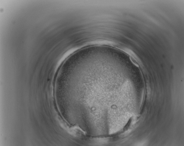 X0000062931044200601202022