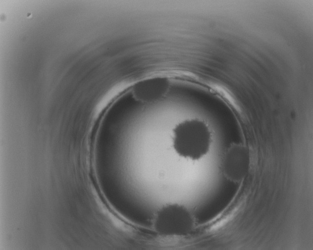 X0000062931046200601202022