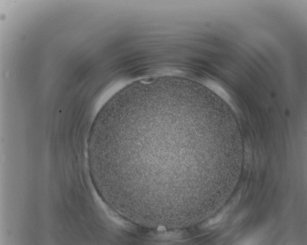 X0000062931047200601202022