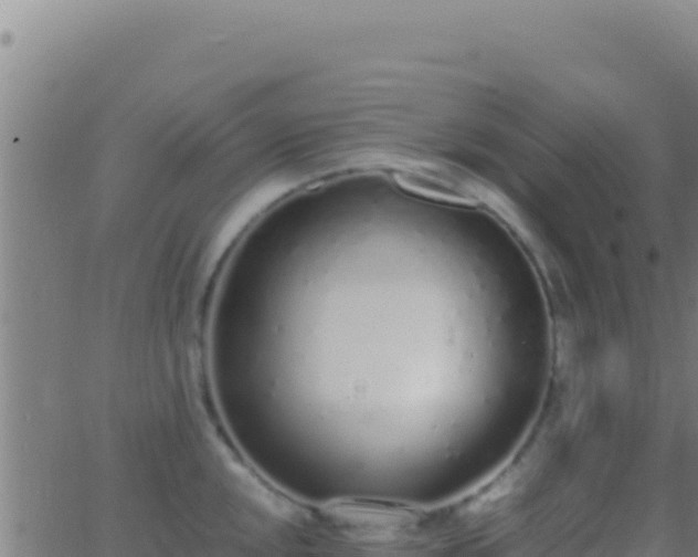 X0000062931048200601202022