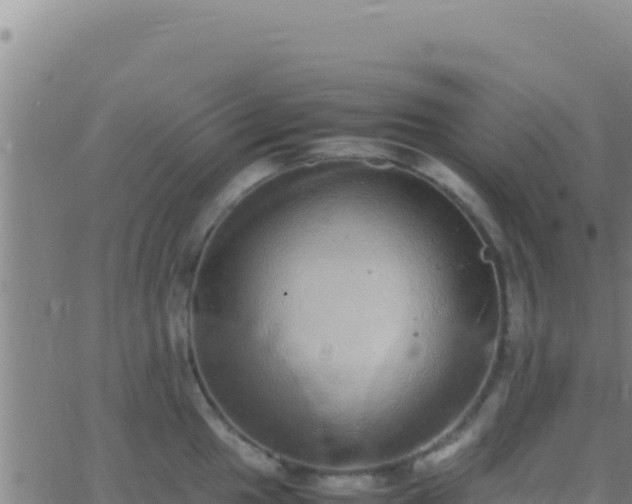 X0000062931049200601202022