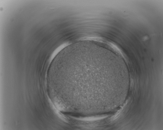 X0000062931050200601202022