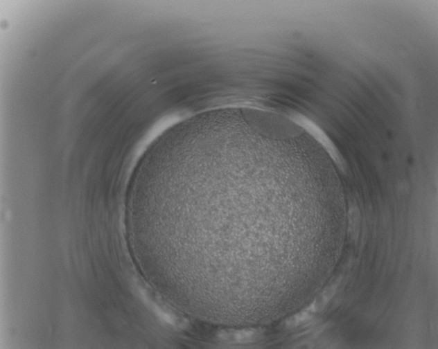 X0000062931051200601202022