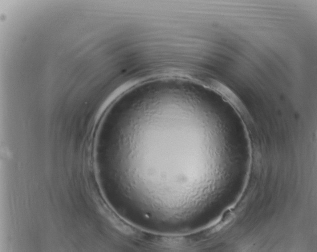 X0000062931052200601202022