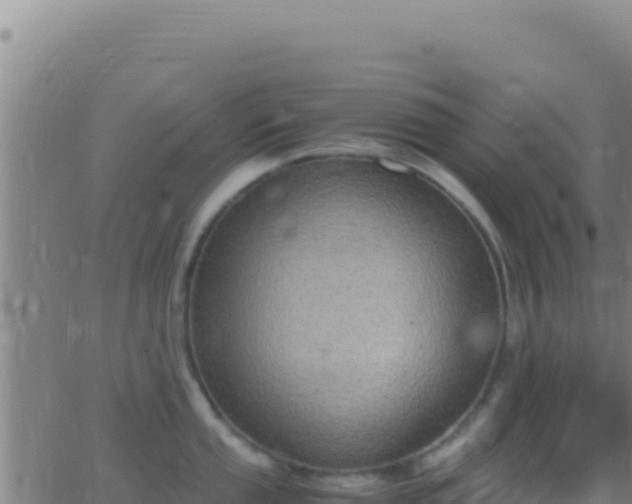 X0000062931053200601202022