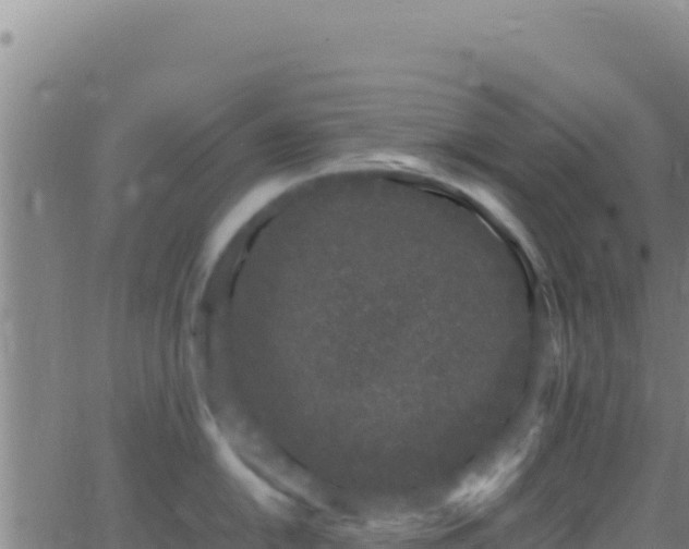 X0000062931054200601202022