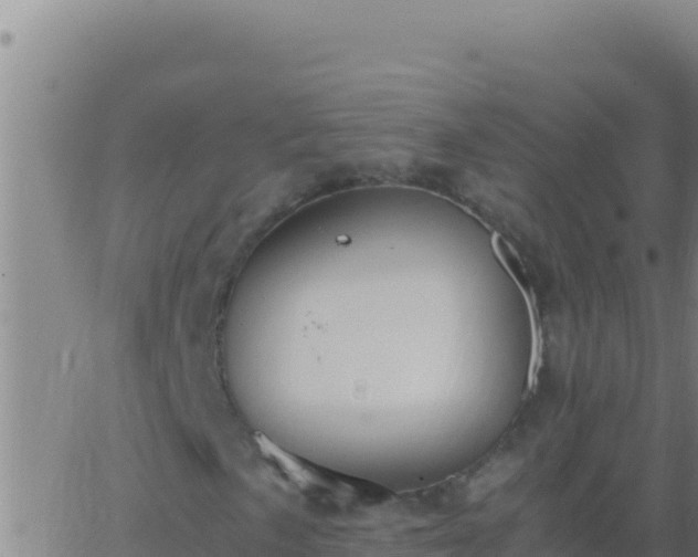 X0000062931057200601202021