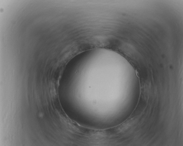 X0000062931058200601202021