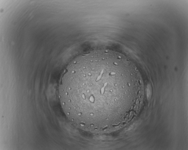 X0000062931059200601202021