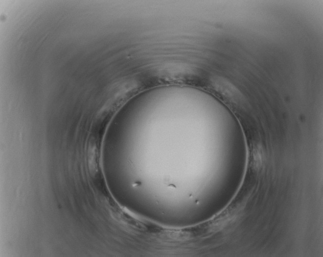 X0000062931060200601202021