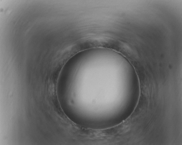 X0000062931061200601202021