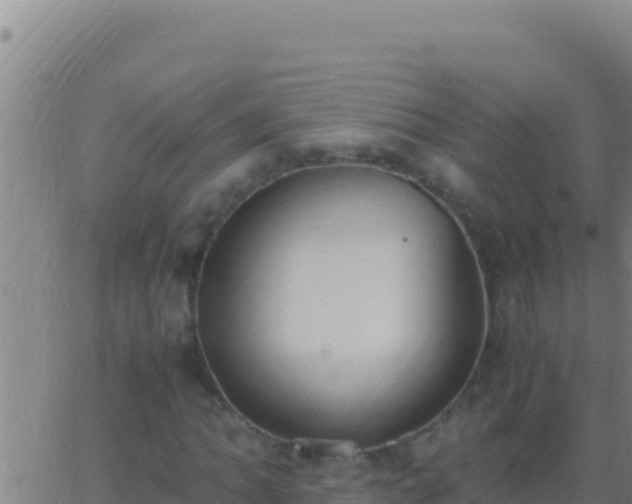 X0000062931062200601202021