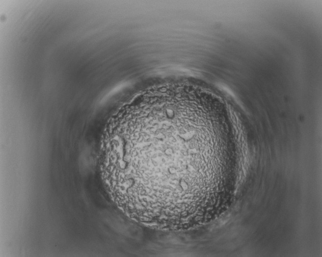 X0000062931063200601202021