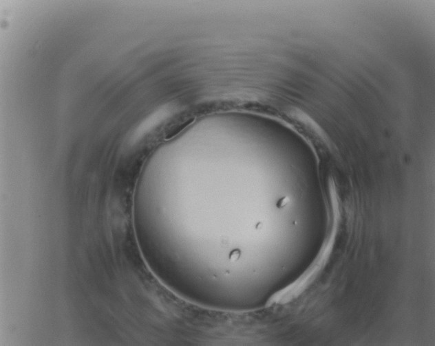 X0000062931064200601202021