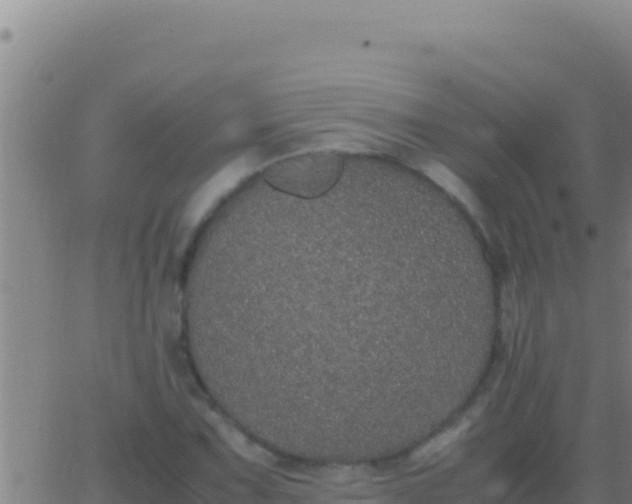 X0000062931067200601202021