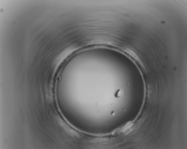 X0000062931068200601202021