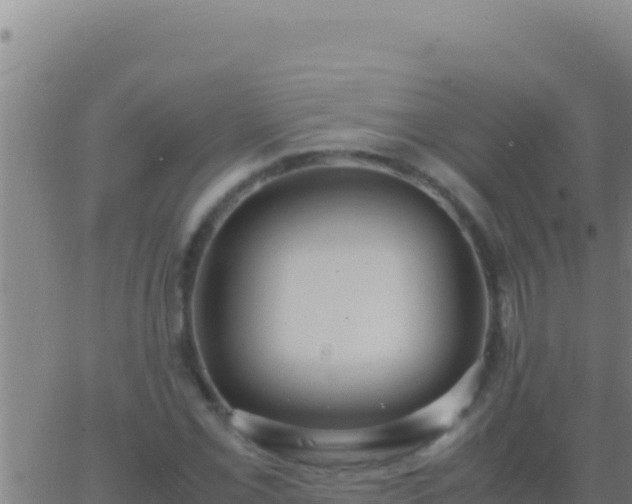 X0000062931069200601202021