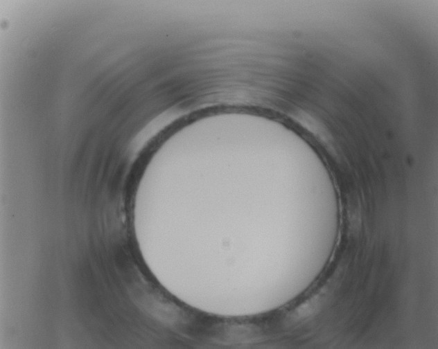 X0000062931070200601202021