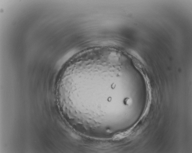 X0000062931071200601202021