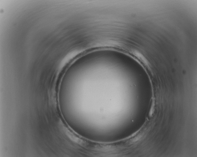 X0000062931072200601202021