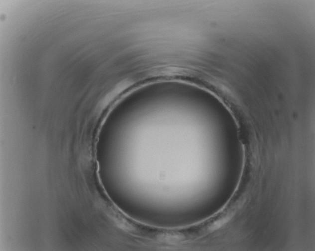 X0000062931073200601202021